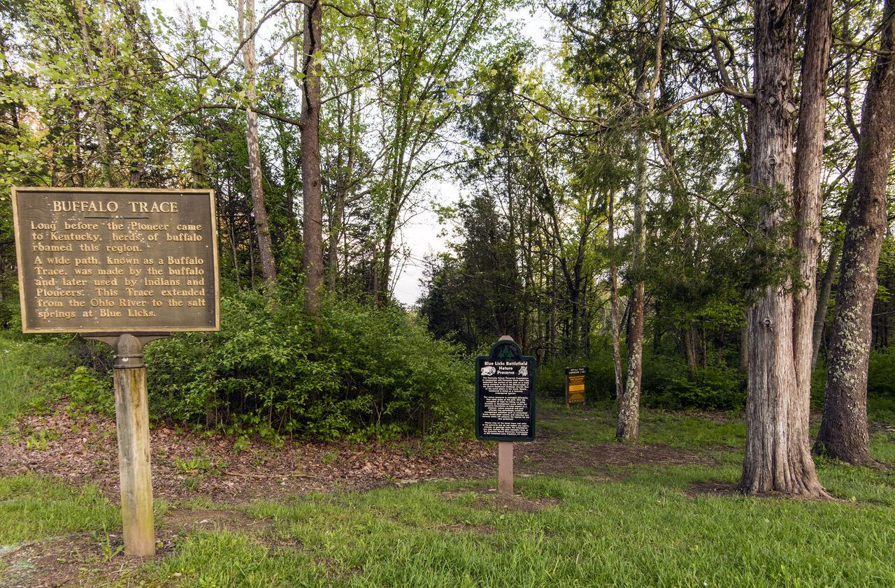 Blue Licks Battlefield State Park Hotell Carlisle Eksteriør bilde